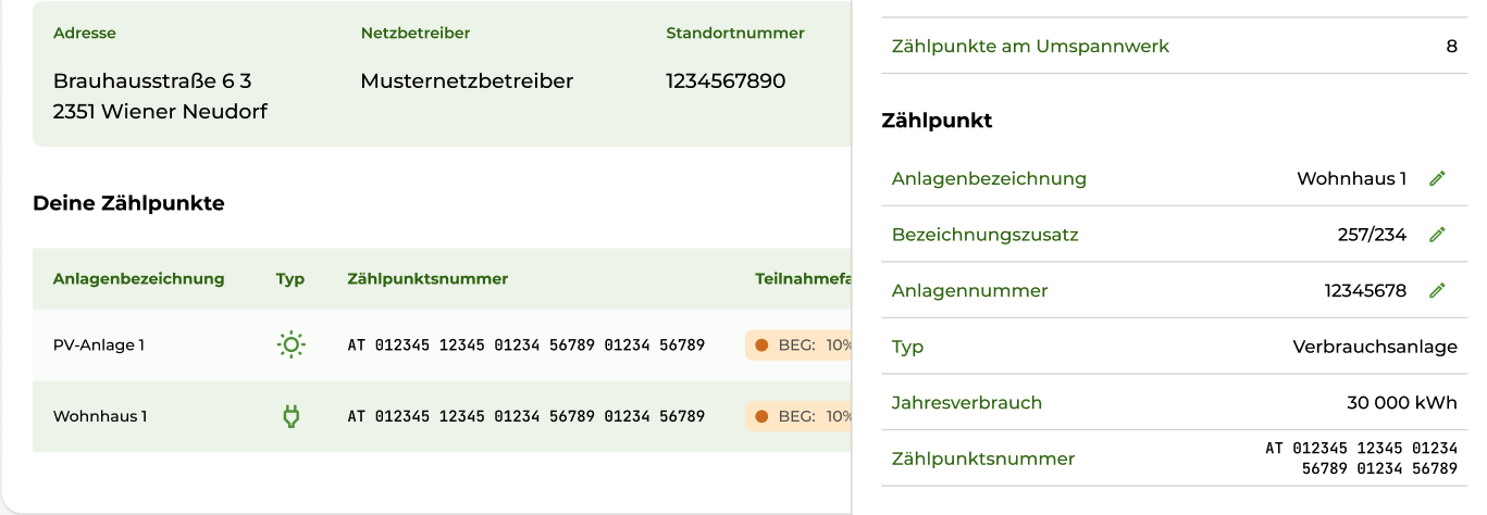EG Austria Portal - Zählpunkt-Details