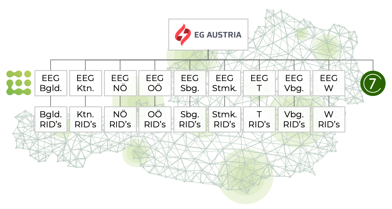 EG Austria - Organigramm